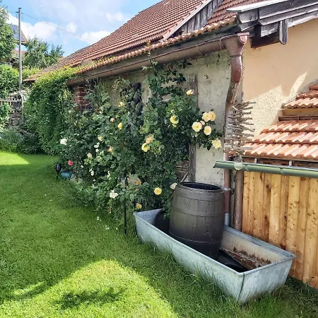 Anno- Ihre Wohlfuehloase Mit Garten In Klingenbrunn