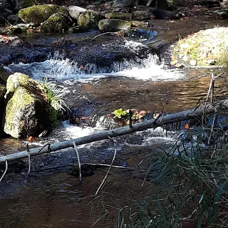 Anno- Ihre Wohlfuehloase Mit Garten In Klingenbrunn * Spiegelau